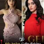 Gelin dizisi Nisa kimdir