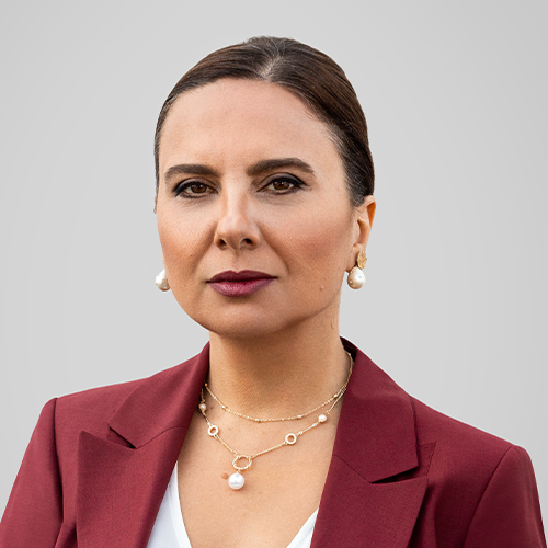 Goncagul-sunar-teskilat-dizisi
