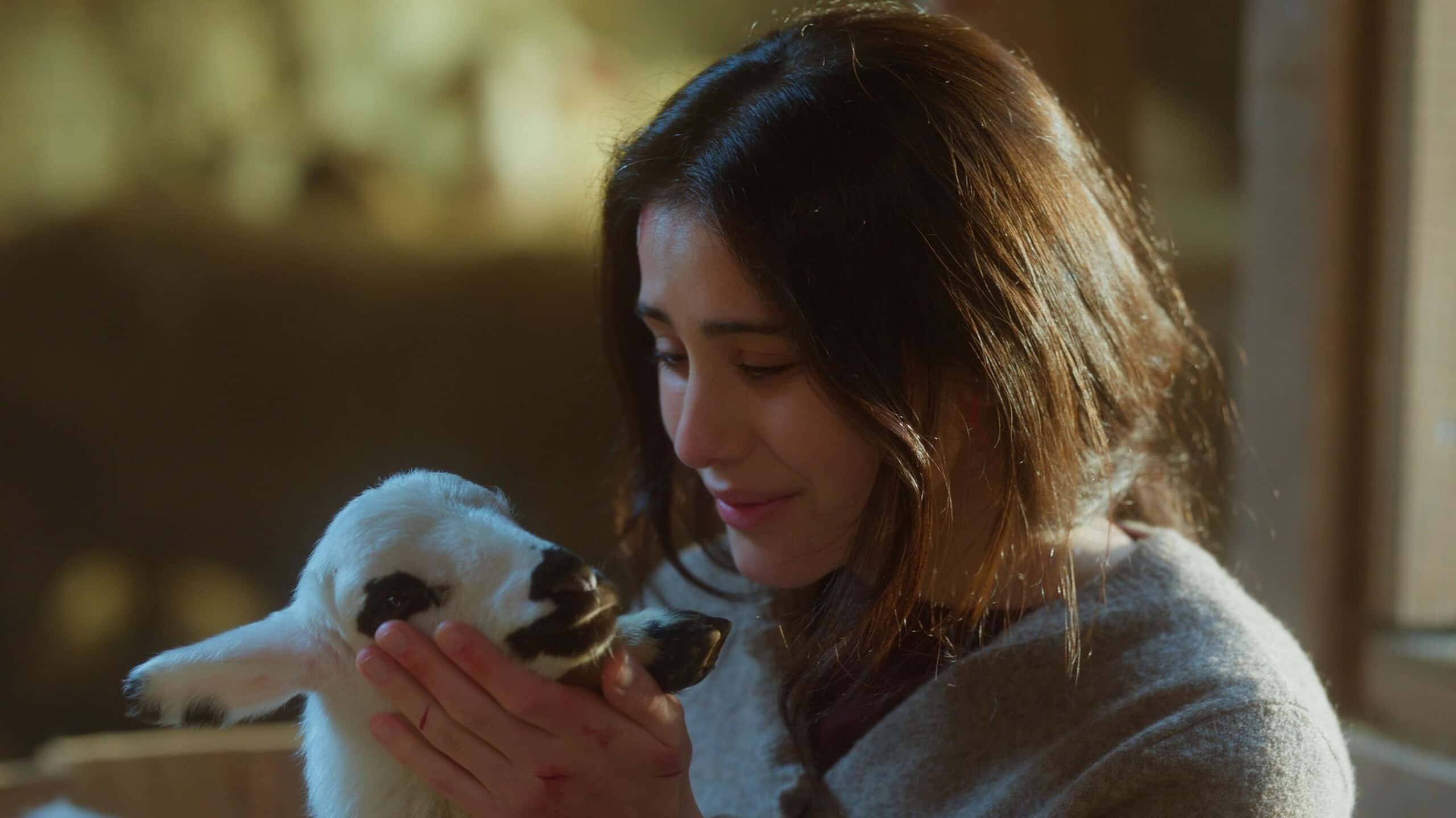 ss diclenin kuzusu 1 scaled 1